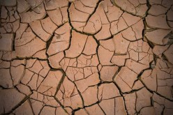 <span>Weekly Tip for Aug 30:</span> Do You Have a Mud Room?