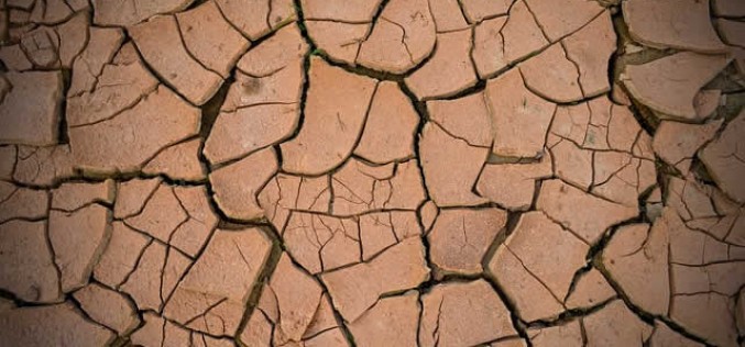<span>Weekly Tip for Aug 30:</span> Do You Have a Mud Room?