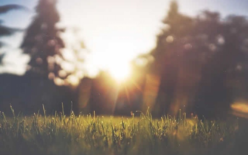 Caring for Your Lawn: Basic Lawn Care Tips for Winter Season