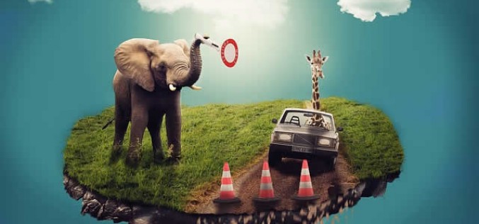 How Dreams Affect Creativity