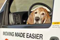 Moving Your Home Does Not Have to be Overwhelming