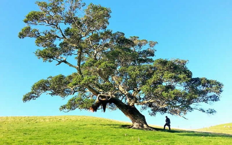 How Mineral Deposits Affect Your Land Value