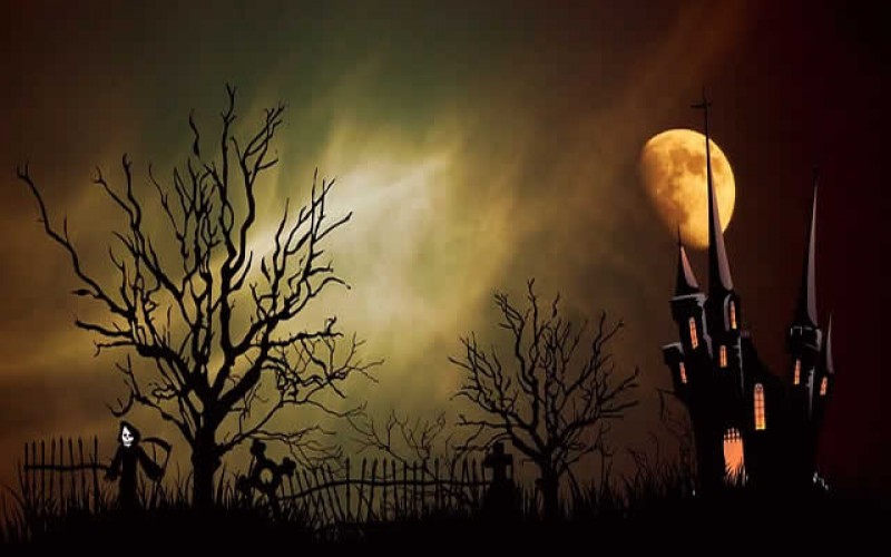 Decorating Your House Inside and Out for Halloween: 6 Spooky Decoration Ideas For Your Home