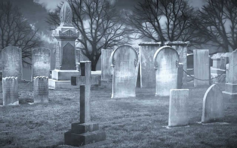<span>Weekly Tip for Oct 25:</span> Make It a Festive Halloween