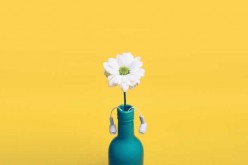 General Home Décor Ideas on a Low Budget
