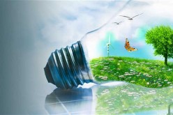 5 Easy and Affordable Eco-Friendly Tips for Your Home