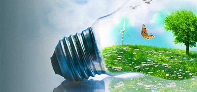 5 Easy and Affordable Eco-Friendly Tips for Your Home