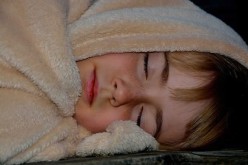 <span>Weekly Tip for Nov 08:</span> Snuggle … Snuggle!