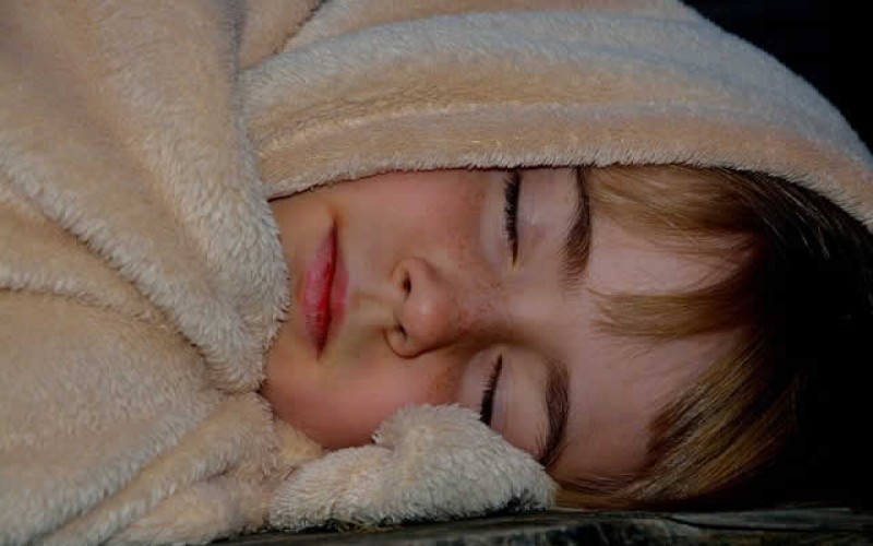 <span>Weekly Tip for Nov 08:</span> Snuggle … Snuggle!