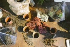 Soil PH And Your Garden Plants – What You Need to Know