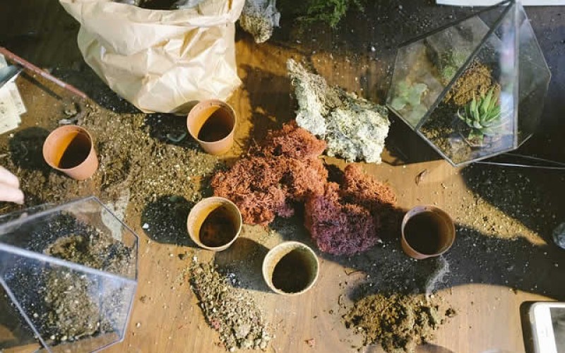 Soil PH And Your Garden Plants – What You Need to Know