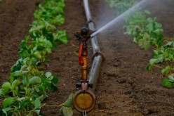Irrigation Made Easy – Automate Your Gardening