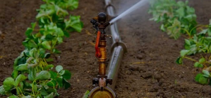 Irrigation Made Easy – Automate Your Gardening