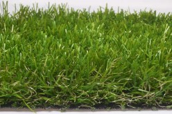 Why Removing Your Old Lawn Can Be a Good Idea