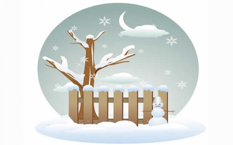 <span>Weekly Tip for Jan 10:</span> Is It Getting Cold?