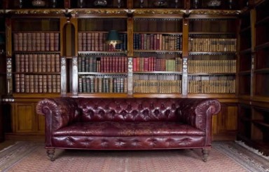 Den Library