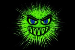 4 Green Pest Control Tips for Your Home