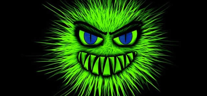 4 Green Pest Control Tips for Your Home