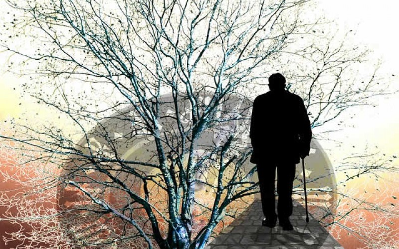 A Great Nursing Home Insurance Policy Should put Your Mind at Ease