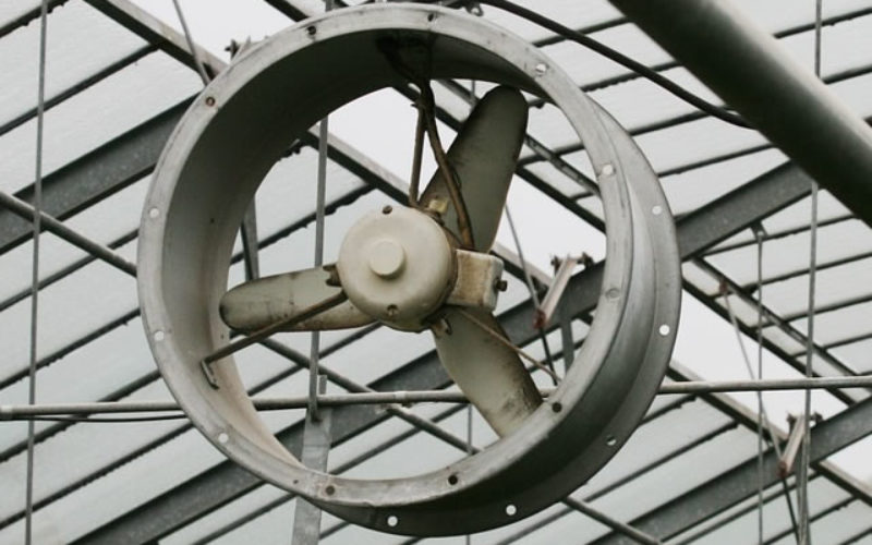 Why an Attic Fan is Crucial for Your Home