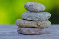 Adding a Rock Garden to Your Home and Making it Unique