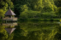 The Right Structure for You: Backyard Ideas for Creating an Outdoor Oasis
