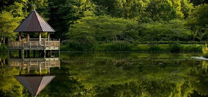 The Right Structure for You: Backyard Ideas for Creating an Outdoor Oasis