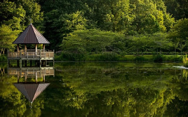 The Right Structure for You: Backyard Ideas for Creating an Outdoor Oasis