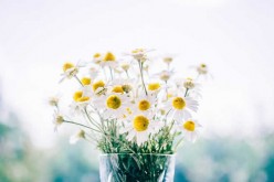 6 Ways to Instantly Improve Your Home