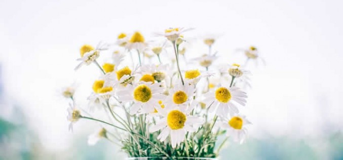 6 Ways to Instantly Improve Your Home