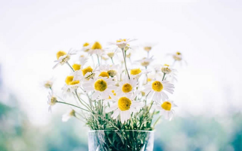 6 Ways to Instantly Improve Your Home