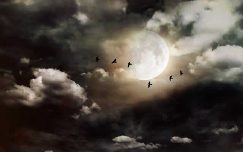 View the Night Sky From Your Very Own Stellar Attic Windows