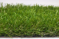 The Grass Isn’t Always Greener on the Other Side