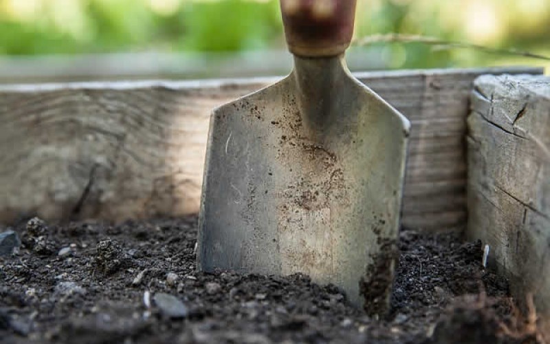 Getting Ready for Spring Planting – Make It Less Hectic This Year!