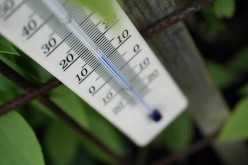 Warm Weather Prep – Getting Your Home Ready for Spring