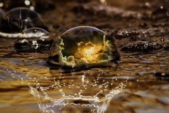 The Magical World of Garden Rain Chains