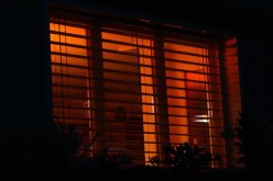 <span>Weekly Tip for Apr 10:</span> Guides to Transform Your Home with Modern Blinds
