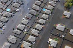 Hope Floats in Rising Waters: Flood Survival Strategies for Homeowners