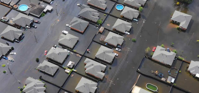 Hope Floats in Rising Waters: Flood Survival Strategies for Homeowners