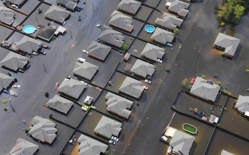 Hope Floats in Rising Waters: Flood Survival Strategies for Homeowners