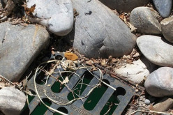 Reducing the Runoff: Understanding the Science Behind Lawn and Yard Drainage