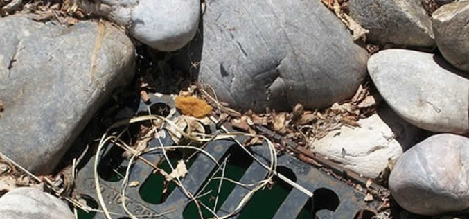 Reducing the Runoff: Understanding the Science Behind Lawn and Yard Drainage