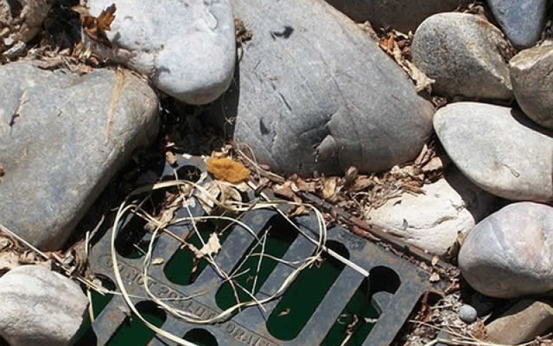 Reducing the Runoff: Understanding the Science Behind Lawn and Yard Drainage