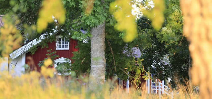 5 Unique Backyard Features to Enjoy as a Family