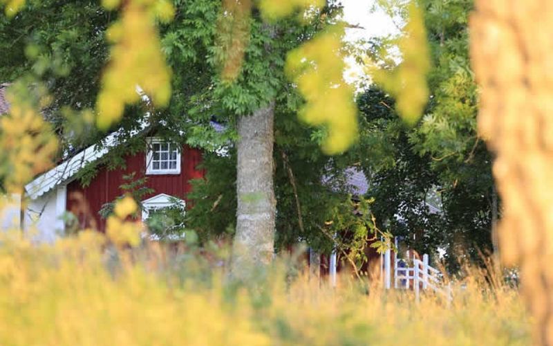 5 Unique Backyard Features to Enjoy as a Family