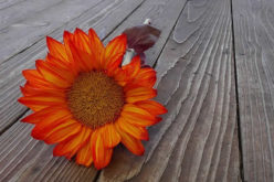 Home DIY Projects With the Greatest Returns