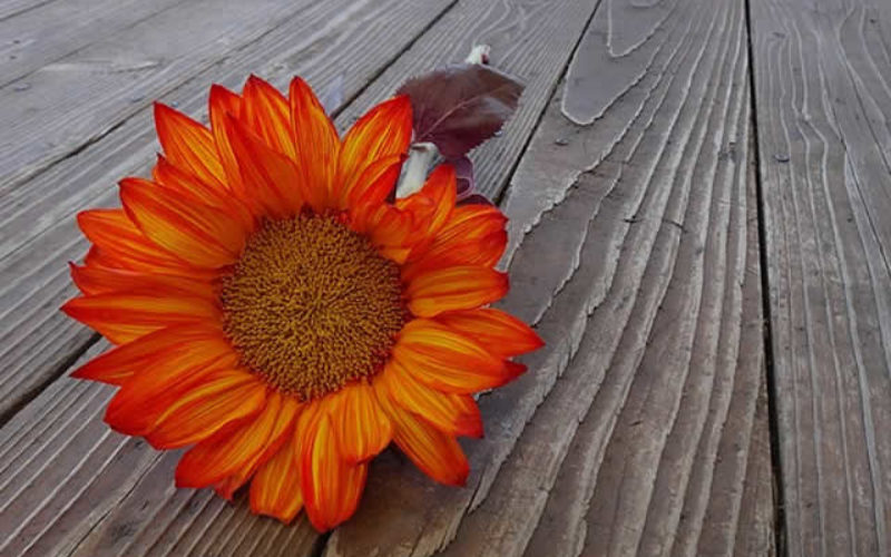 Home DIY Projects With the Greatest Returns