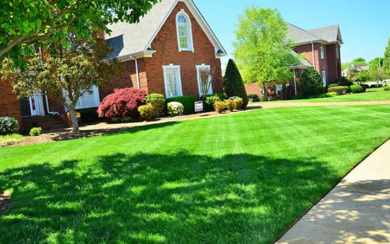 <span>Quick Checklist:&nbsp;&nbsp;&nbsp;&nbsp;</span> Five Lawn Care Tips That Will Keep Your Yard Looking Fresh