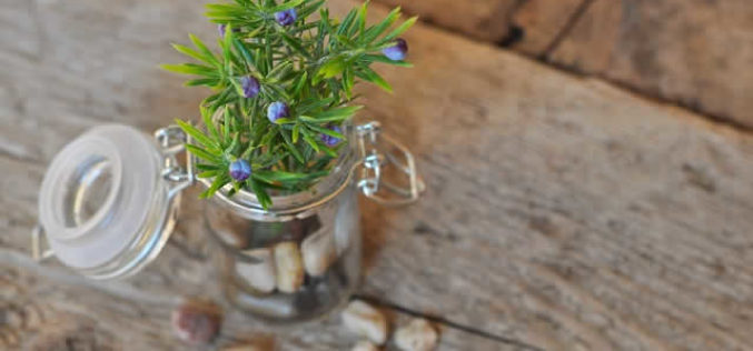 Home Decor Basics and Tips for Using Home Storage Units