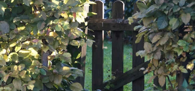 How to Turn Your Yard into an Awe-Inspiring Paradise